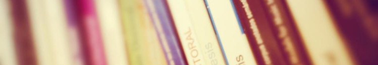 Banner de la página